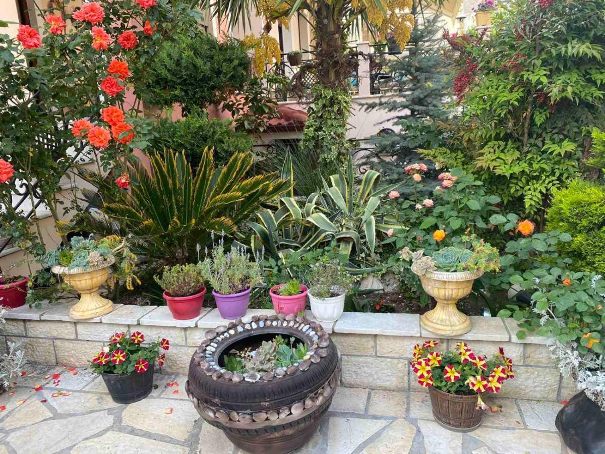 In The Castle - House Apartment Ioannina Luaran gambar